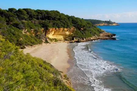 Cala en Bosc