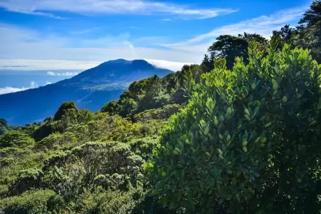 Cartago en febrero