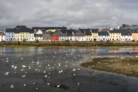 Connacht en agosto