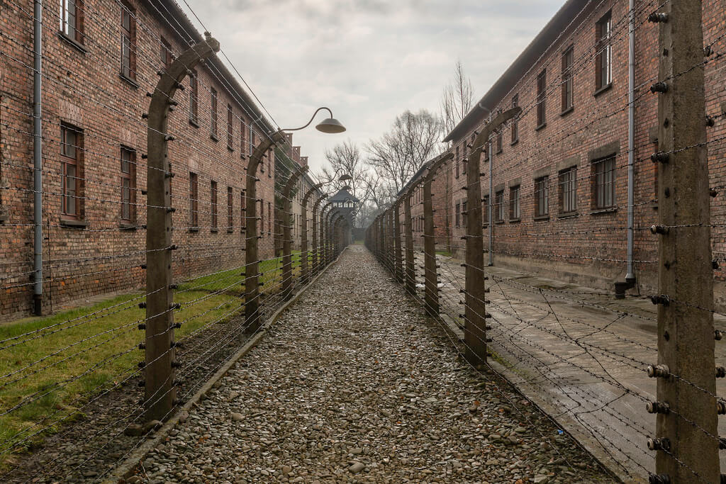 Auschwitz :  Auschwitz :