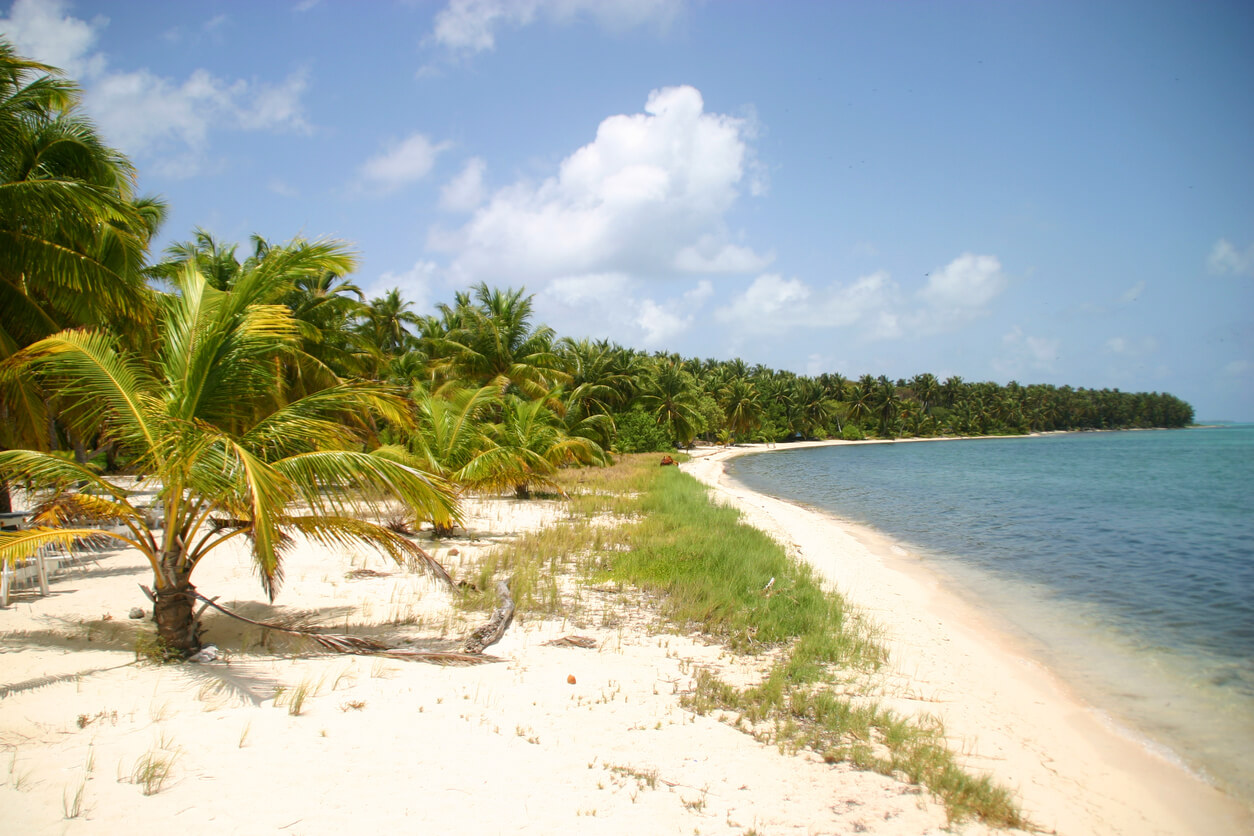 Belice: Plage de Half Moon Caye au Belize Belice: Plage de Half Moon Caye au Belize