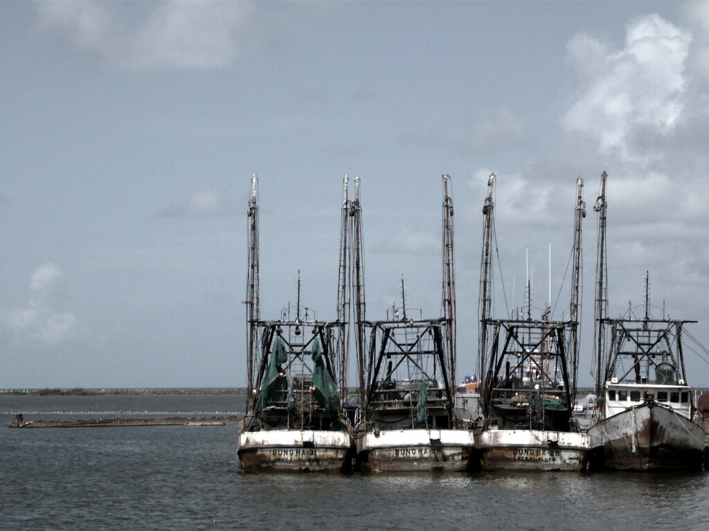 Bluefields :  Bluefields :