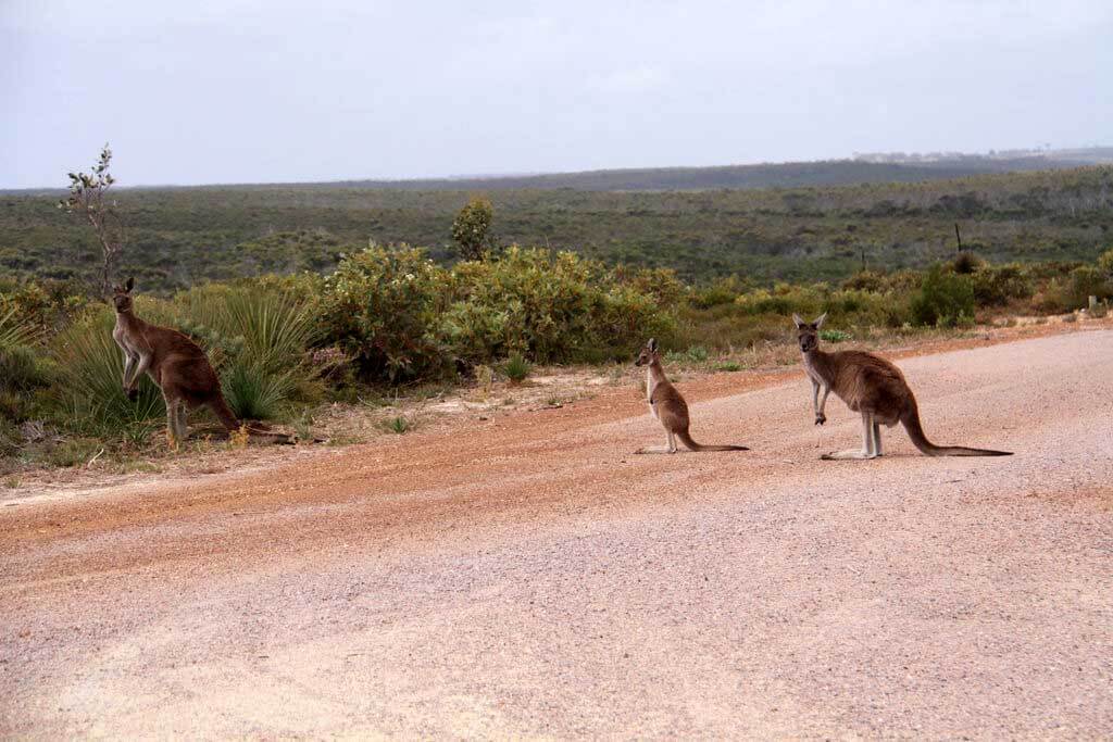 Parque nacional Cabo Árido : Parque nacional Cabo Árido :