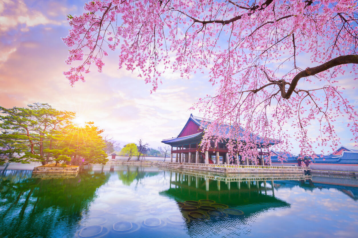 Clima En Corea Del Sur En Octubre 2024 Tiempo, Temperatura, Clima Y