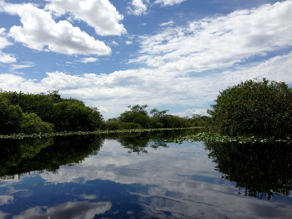 Parque nacional de los Everglades : 