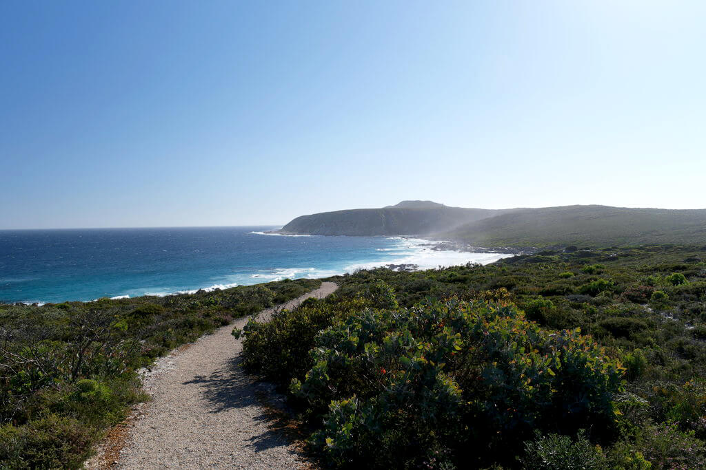 Parque nacional Río Fitzgerald : 