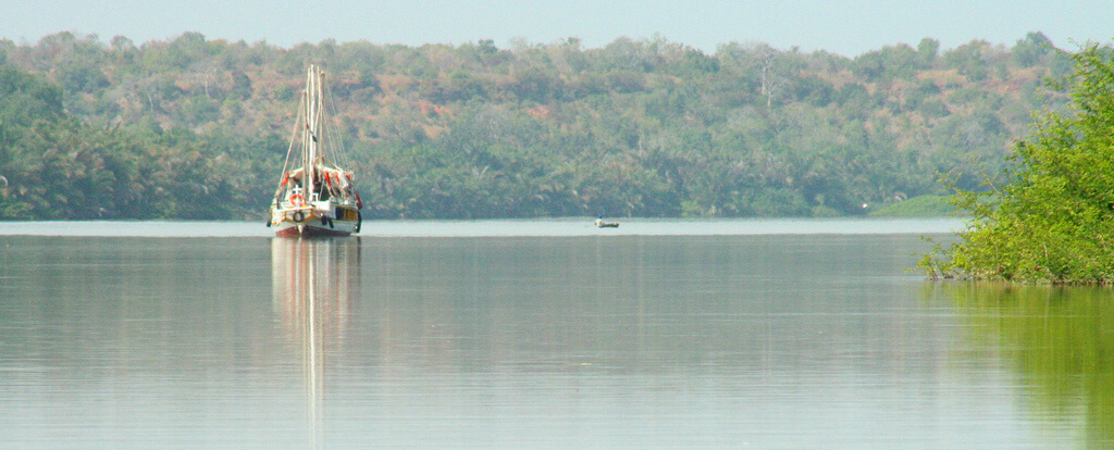 Georgetown :  Georgetown :