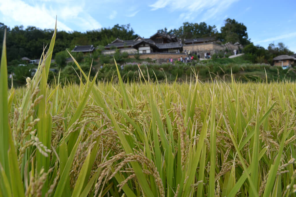 Gyeongju :  Gyeongju :
