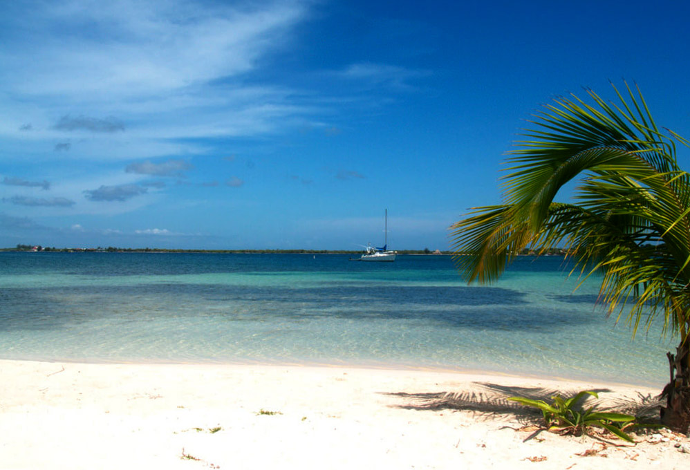 Islas de la Bahía : 