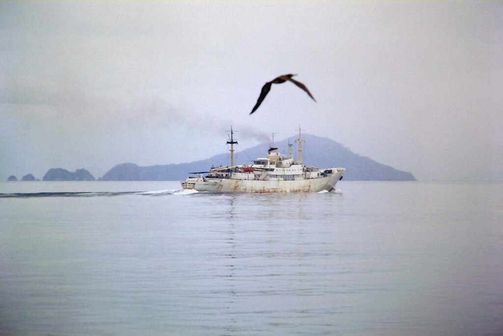 Isla de Taboga : Isla de Taboga :