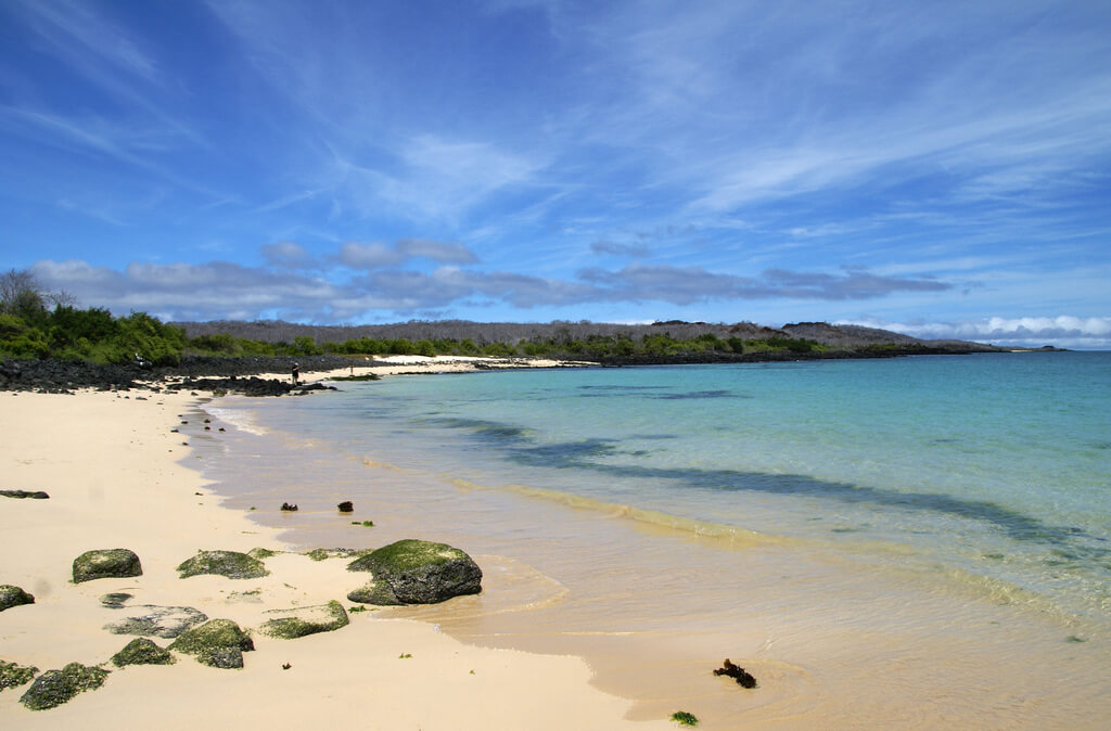 Clima De Santa Cruz atelieryuwa.ciao.jp