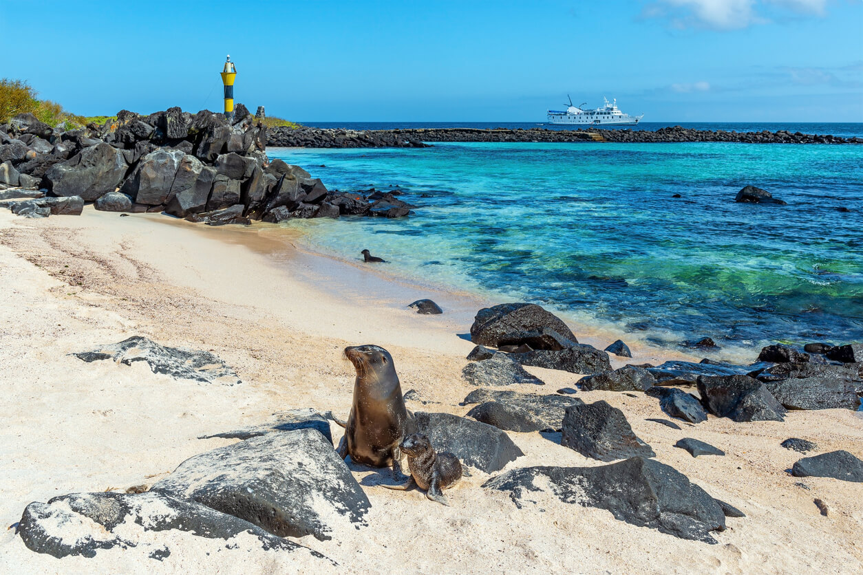 Cuando Ir a Isla Santa Cruz? Mejor Epoca, Tiempo y Clima por el Mes - Islas  Galápagos - Adónde y Cuándo