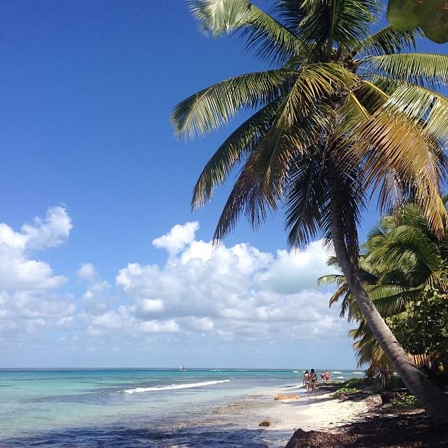 Isla Saona : 