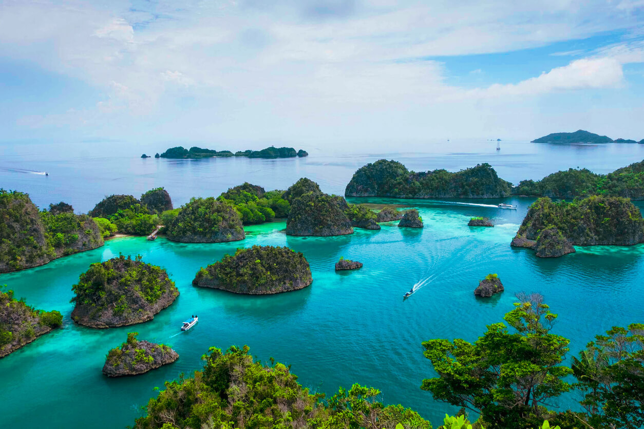 Raja Ampat : Raja Ampat :