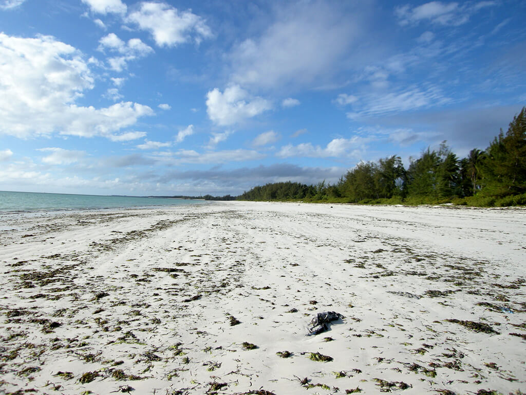 Jambiani : Jambiani :