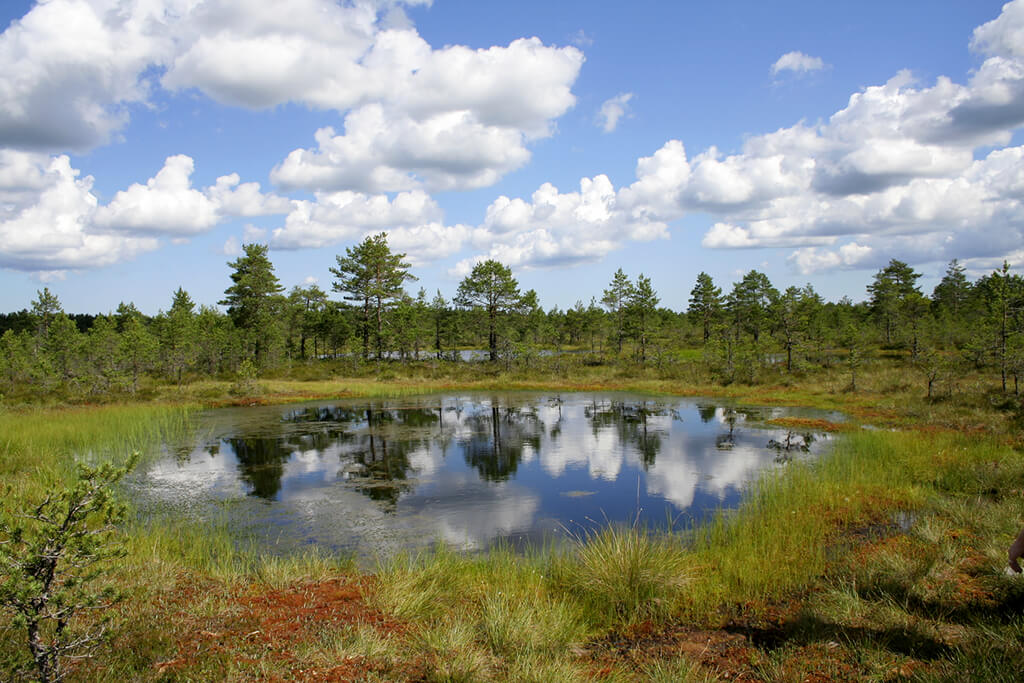 Clima en Parque Nacional de Lahemaa en Octubre 2024 Tiempo