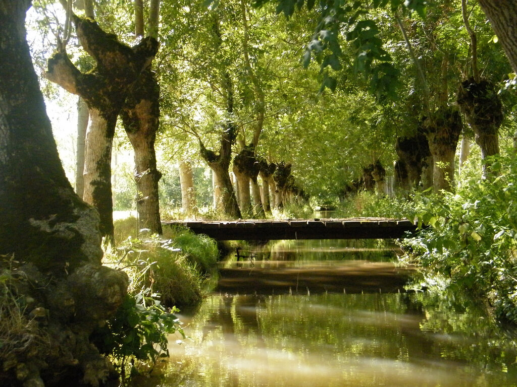 Marais poitevin (Marans) :  Marais poitevin (Marans) :