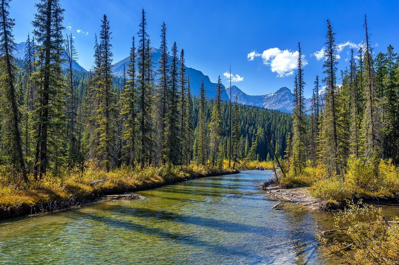 Parque nacional Jasper : Le parc national de Jasper