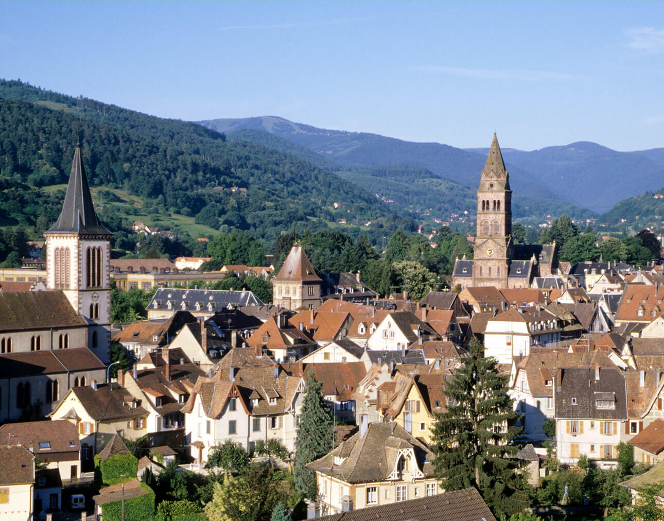 Munster : Munster Munster : Munster