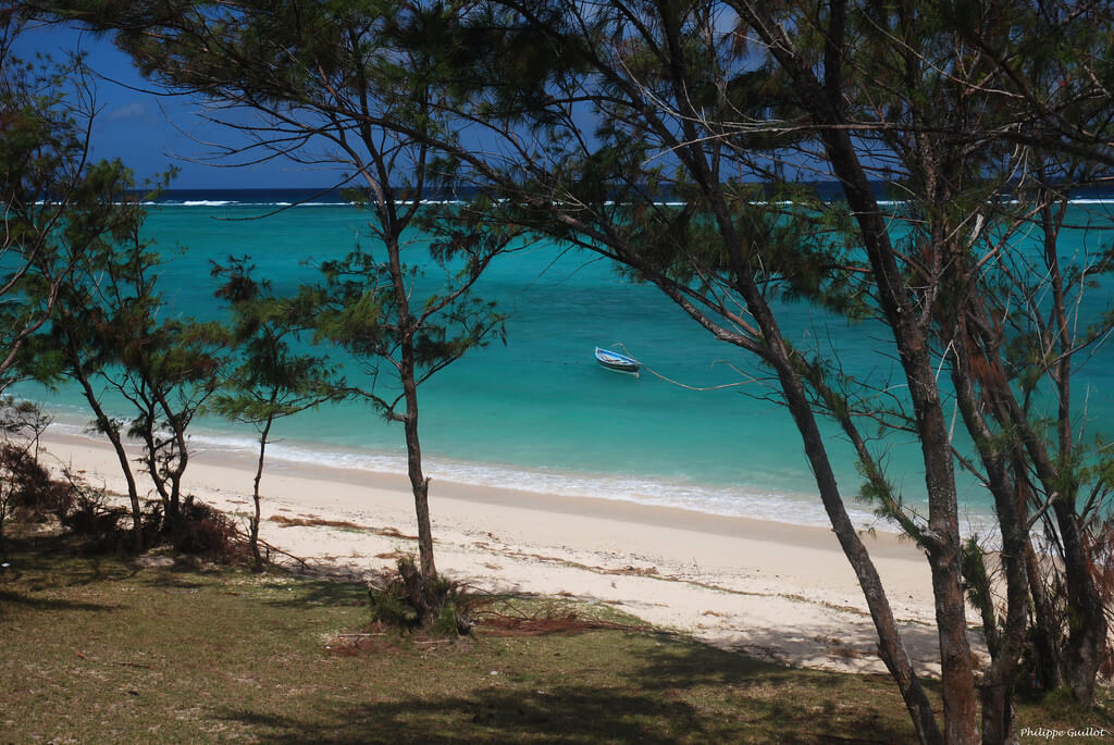 Petit Gabriel :  Petit Gabriel :