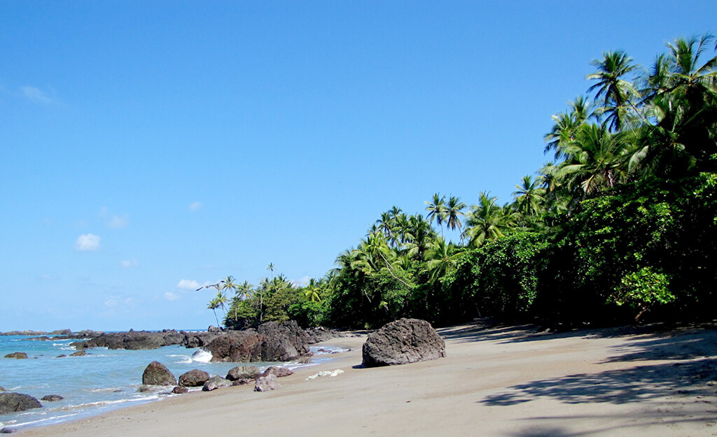 Puerto Jiménez : Puerto Jiménez :