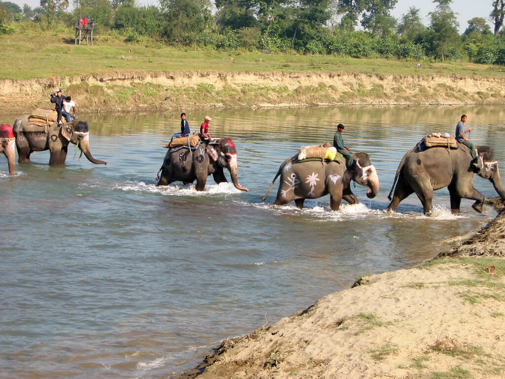 Mejor epoca para viajar a Parque nacional de Royal Chitwan Tiempo y