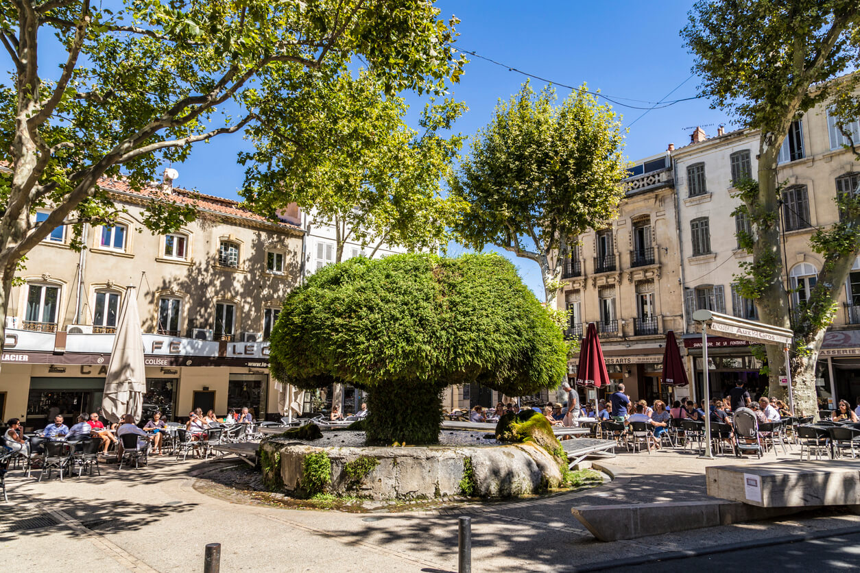 Salon-de-Provence : Salon-de-Provence :