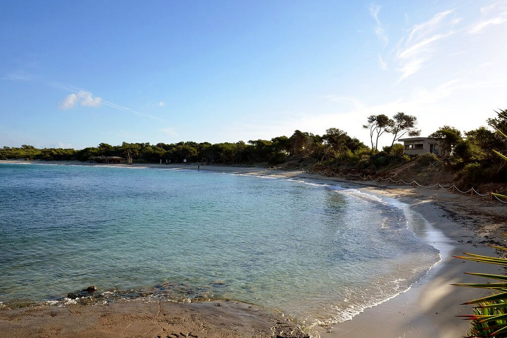 Sant Jordi de ses Salines :  Sant Jordi de ses Salines :