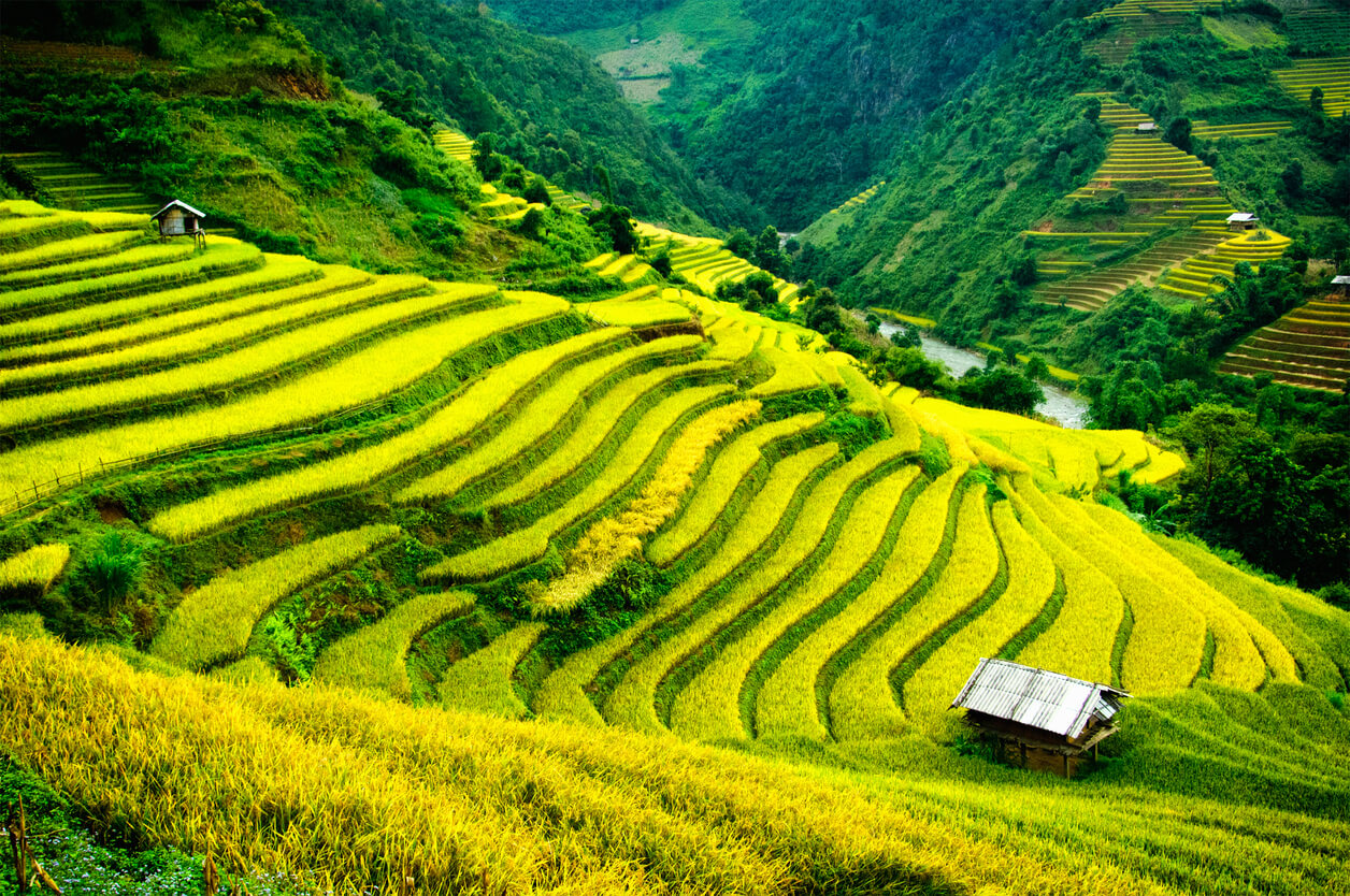 Sapa : Mu Cang Chai, Sapa
