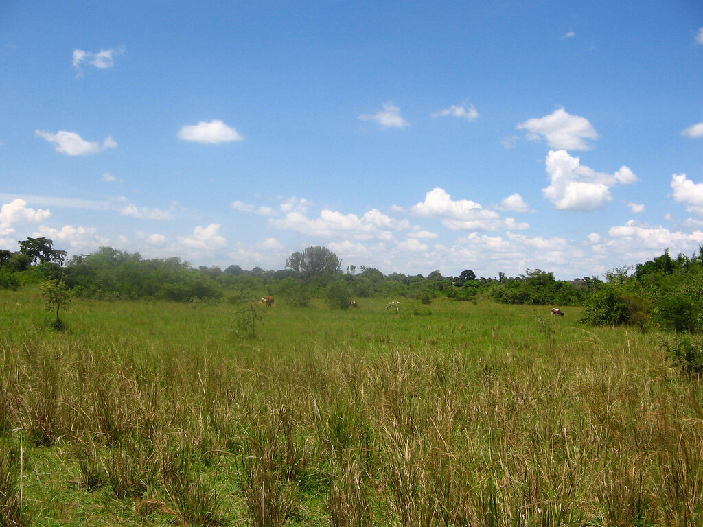 Soroti :  Soroti :