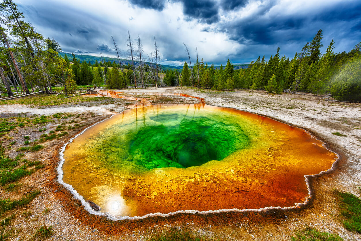 Parque nacional de Yellowstone : Yellowstone N.P. (Wyoming)