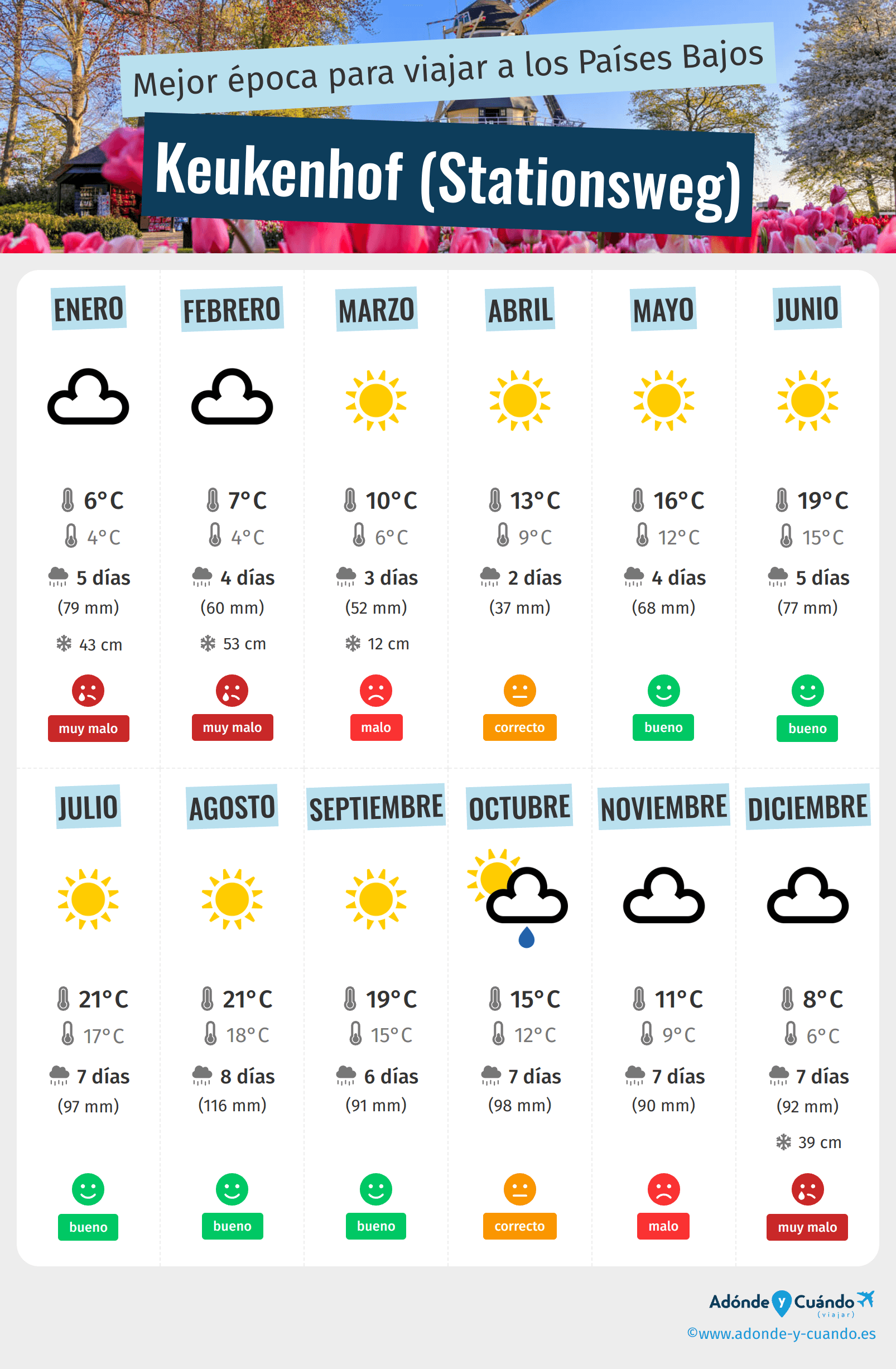 Infografía de los mejores momentos para visitar Keukenhof (Stationsweg)